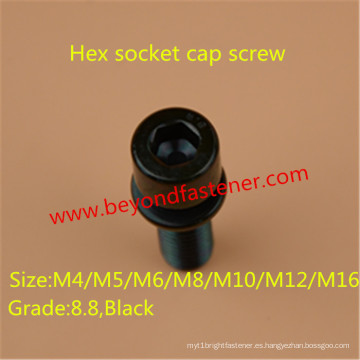 Sems Screw M6